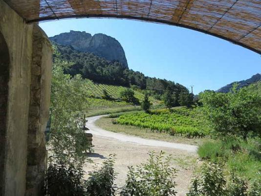 Domaine De Cassan Hébergement de vacances
