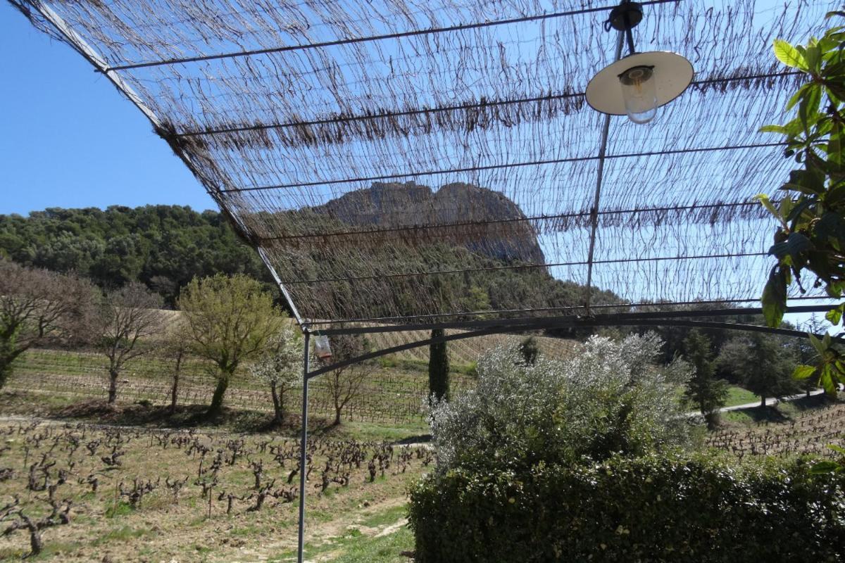 Domaine De Cassan